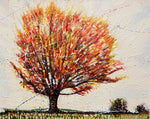 Fire Tree