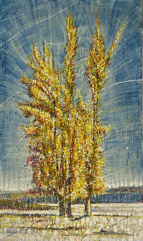 Beach Tree