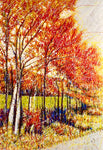 Couleur D'Automne